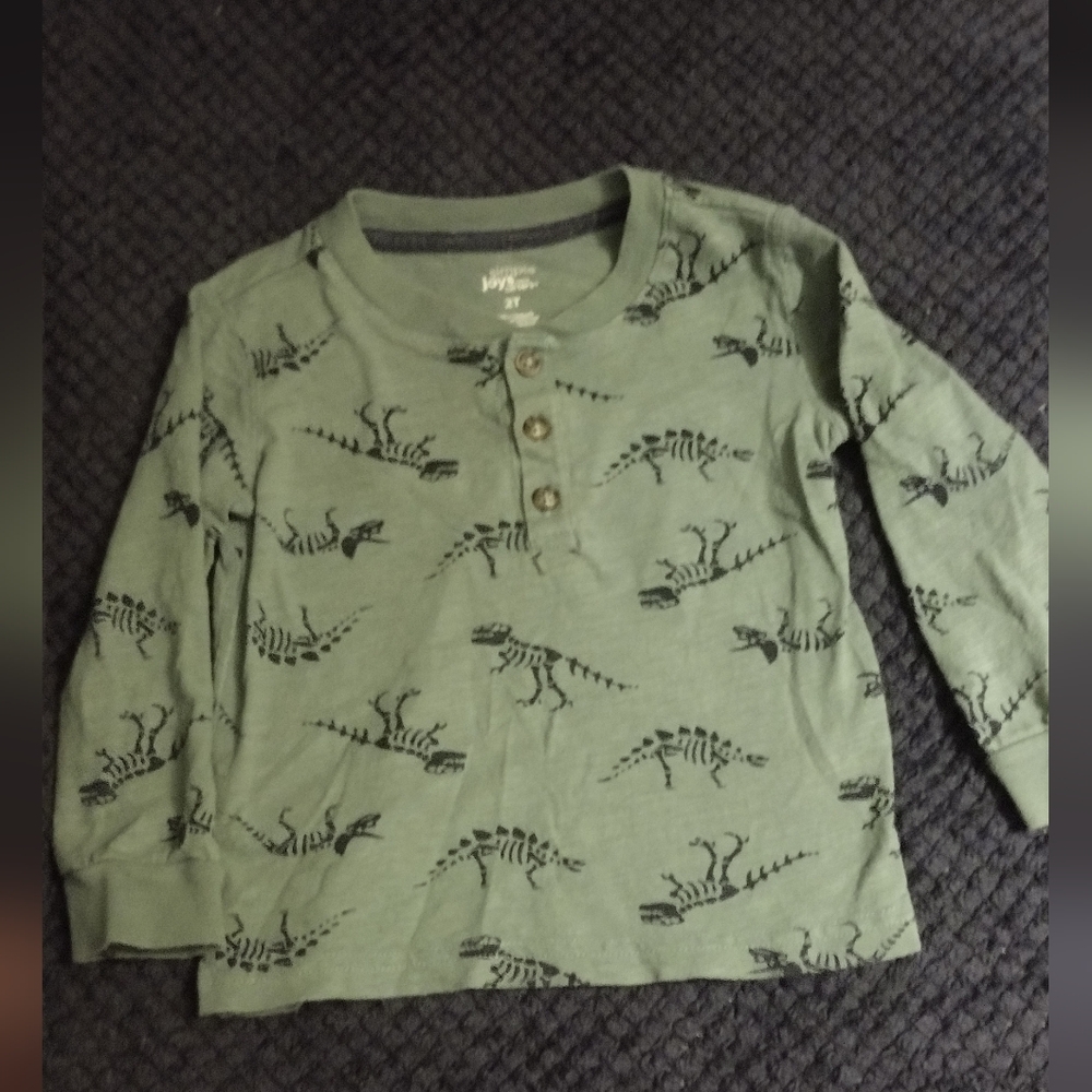 2T green long sleeve dino shirt